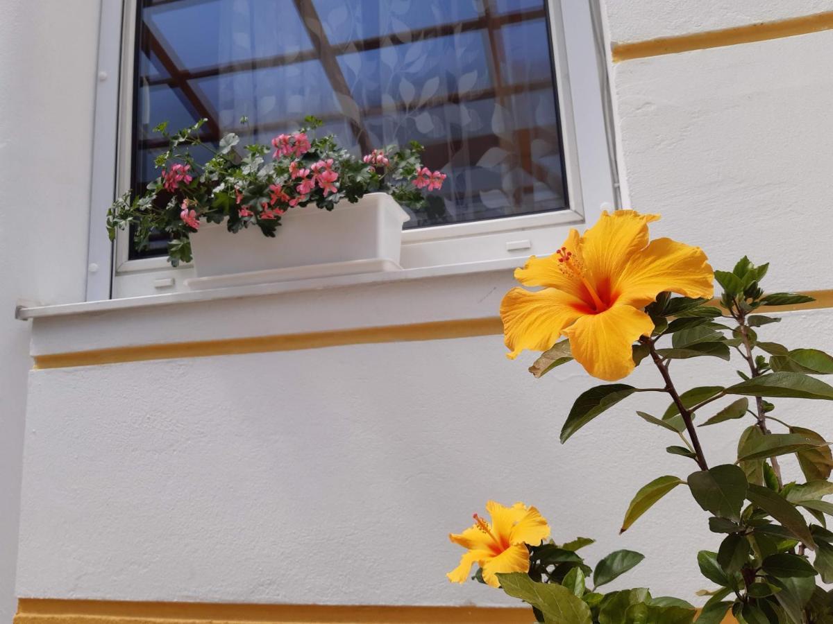 Thermal Garden Mosonmagyarovar Exterior photo